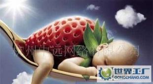 網站設計,網站托管,網站裝修,維護推廣服務,贈送域名_二手設備轉讓_世界工廠網中國產品信息庫